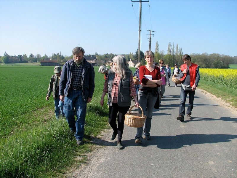 2010 04 Plantes sauvages comestibles 02